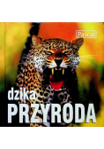 Dzika przyroda