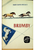 Brumby