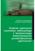 Studium wybranych czynników efektywnego i bezpiecznego funkcjonowania przedsiębiorstw górniczych