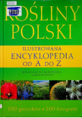 Rośliny Polski