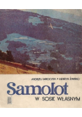 Samolot w sosie własnym