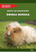 Świnka morska