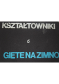 Kształtowniki gięte na zimno