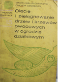 Cięcie i pielęgnowanie drzew i krzewów owocowych w ogrodzie działkowym