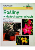 Rośliny w dużych pojemnikach
