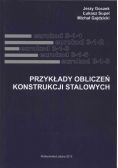 Przykłady obliczeń konstrukcji stalowych