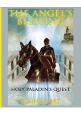 Holy Paladin's Quest
