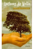 Przebudzenie
