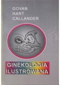Ginekologia ilustrowana