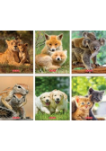 Zeszyt A5/32K kratka Animals (10szt)