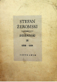 Dzienniki III 1888 - 1891