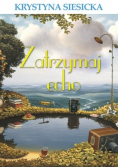 Zatrzymaj echo