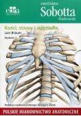Anatomia Sobotta Flashcards Kości stawy i więzadła