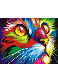 Malowanie po numerach - Tęczowy kotek 40x50cm