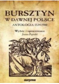 Bursztyn w dawnej Polsce Antologia 1534  1900