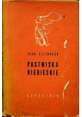 Pastwiska niebieskie