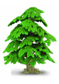 Drzewo Ginko biloba