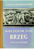 Śląsk w zabytkach sztuki