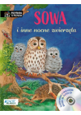 Sowa i inne nocne zwierzęta