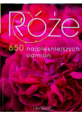 Róże 650 najpiękniejszych odmian