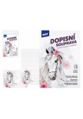 Papeteria Lux 5+10 Koń