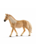 Klacz rasy Haflinger