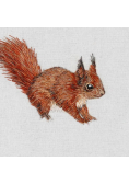 Karnet kwadrat z kopertą Red Squirrel