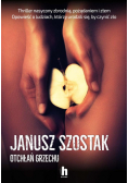 Otchłań grzechu