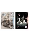 Teczka z gumką A4 The Sweet Pets