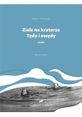 Ziele na kraterze Tędy i owędy