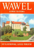 Wawel zamek i katedra