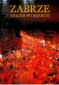 Zabrze Spacer po Mieście