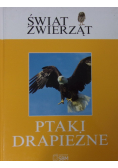 Ptaki drapieżne