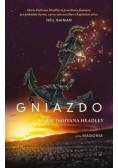 Magonia  Gniazdo