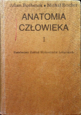 Anatomia człowieka I