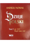 Dzieje Polski tom 1