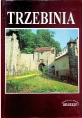 Trzebinia zarys dziejów miasta i regionu