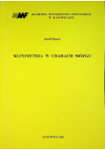 Klinimetria w udarach mózgu