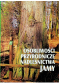 Osobliwości przyrodnicze nadleśnictwa Jamy