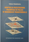 Adaptacja przestrzenna przemysłu w Polsce w warunkach transformacji