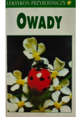 Owady