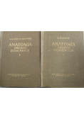 Anatomia zwierząt domowych Tom I do II