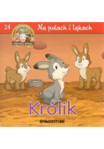 Wesoła farma Tom 24 Na polach i łąkach Królik