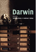 Darwin