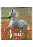 Kalendarz 2024 Konie