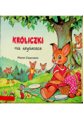 Króliczki na wycieczce