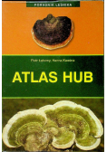 Atlas hub