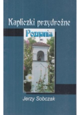Kapliczki przydrożne Poznań