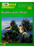 Tajemnice zwierząt Rzadkie ptaki Polski