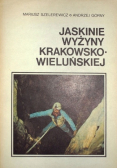 Jaskinie wyżyny krakowsko   wieluńskiej